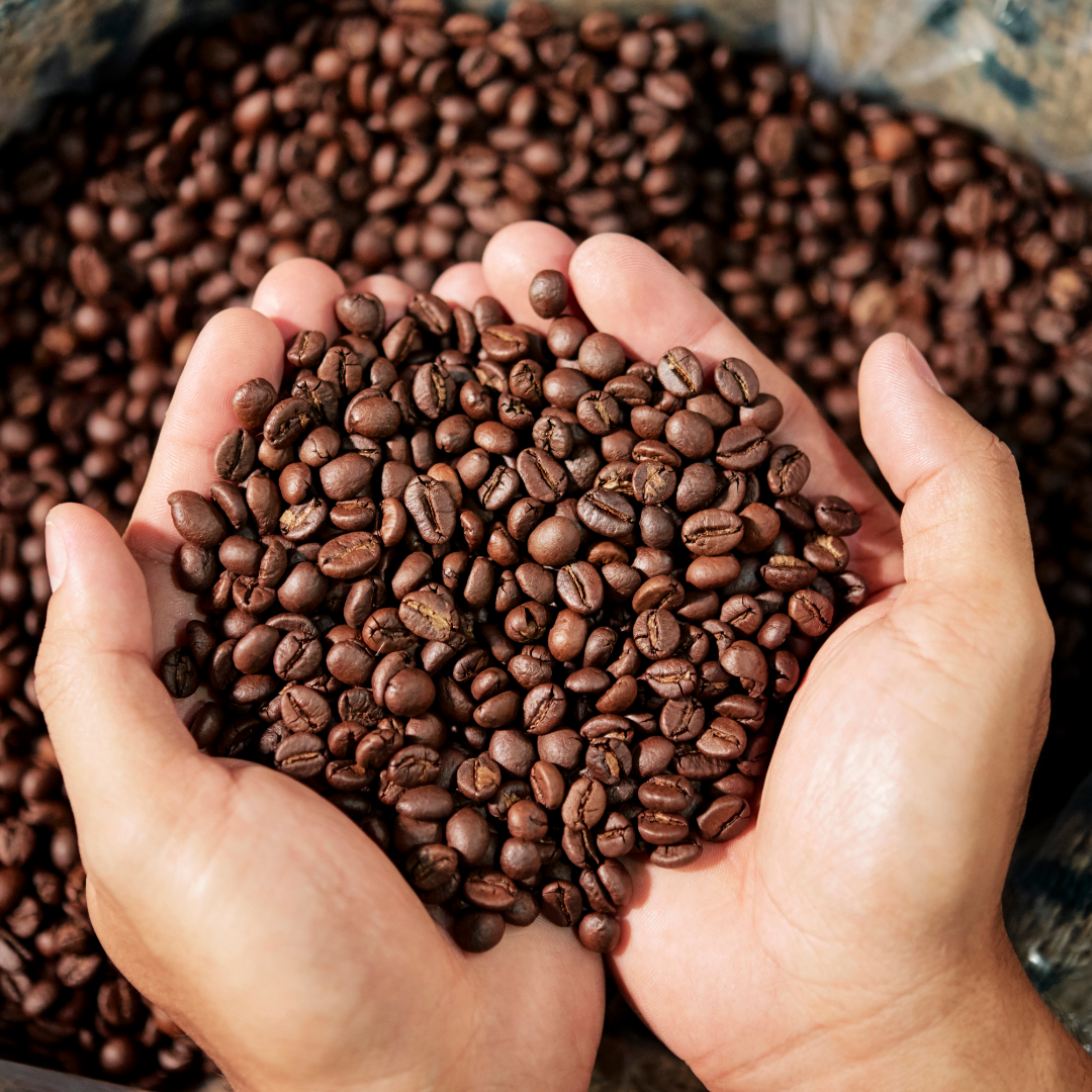 Cafés Especiais Torrados