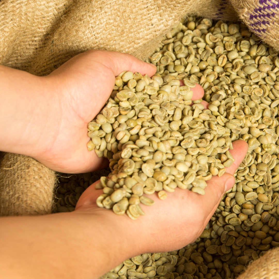 Cafés Especiais Verdes